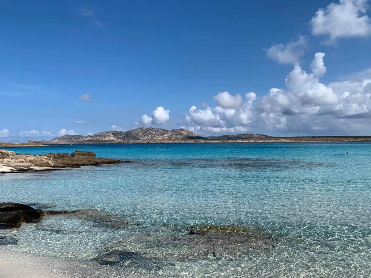 Casa Sul Mare Scogliolungo II Daire Porto Torres Dış mekan fotoğraf
